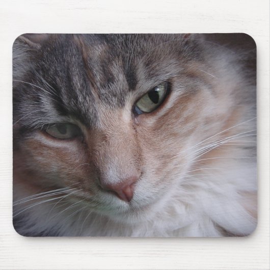 Lulu nah-up mousepad (Vorne)