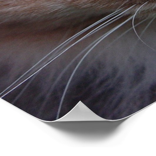 Lulu nah-up poster (Ecke)