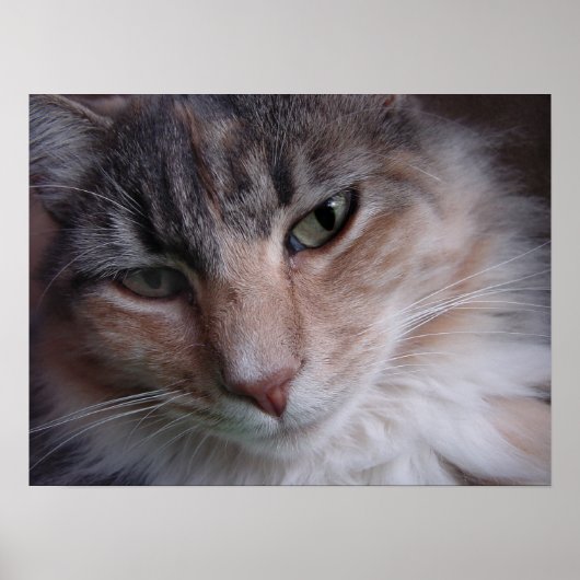 Lulu nah-up poster (Vorne)