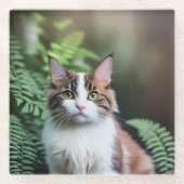 Lulu The Ragdoll Cat, Glasuntersetzer (Vorderseite)