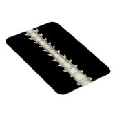 Lumbar und Thorakische Vertebrae Magnet (Rechte Seite)