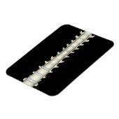 Lumbar und Thorakische Vertebrae Magnet (Linke Seite)