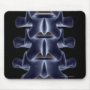 Lumbar Vertebra 2 Mousepad
