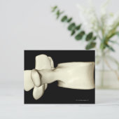 Lumbar Vertebra Postkarte (Stehend Vorderseite)