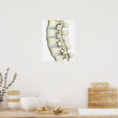 Lumbar Vertebrae Poster (Küche)