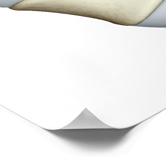 Lumbar Vertebrae Poster (Ecke)