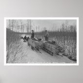 Lumber Dog Seward, Alaska 1917 Poster (Vorne)