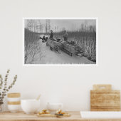 Lumber Dog Seward, Alaska 1917 Poster (Küche)