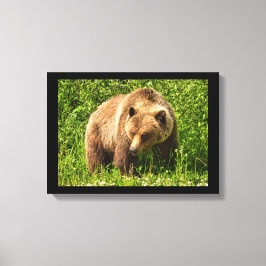 Lumbering Grizzly Bear Canvas Print Leinwanddruck