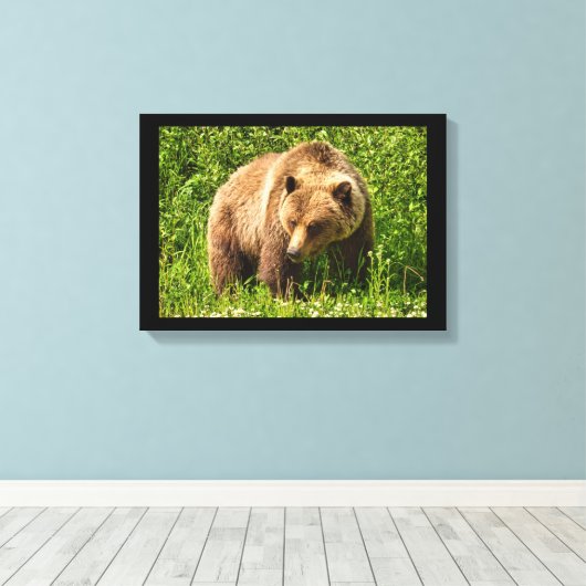 Lumbering Grizzly Bear Canvas Print Leinwanddruck (Insitu (Holzboden))