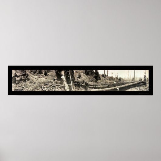 Lumberjack Redwoods Foto 1915 Poster (Vorne)