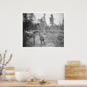 Lumberjacks in Alaska 1916 Poster (Küche)
