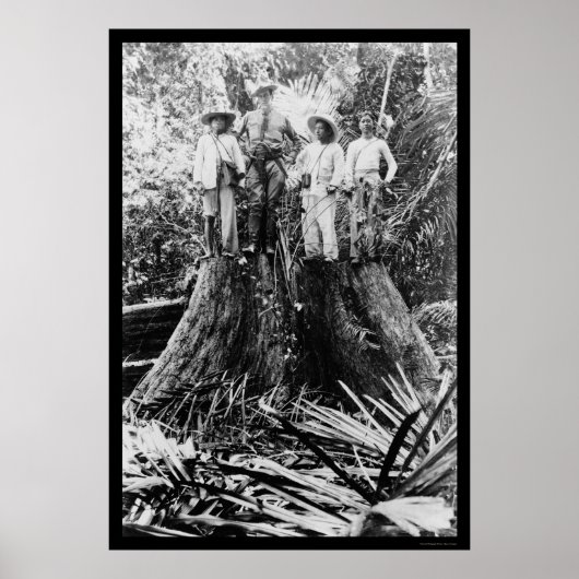 Lumberjacks in der Region Mindoro, Philippinen 190 Poster (Vorne)