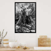 Lumberjacks in der Region Mindoro, Philippinen 190 Poster (Küche)