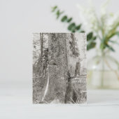 Lumberjacks mit Riesenfeuer, 1905 Postkarte (Stehend Vorderseite)