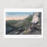 Lumberjacks Trageprotokolle über Golf per Kabel