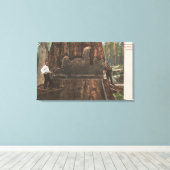 Lumberjacks unterbinden einen Redwood-Baum Leinwanddruck (Insitu (Holzboden))