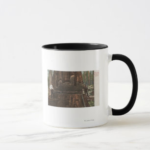 Lumberjacks unterbinden einen Redwood-Baum Tasse