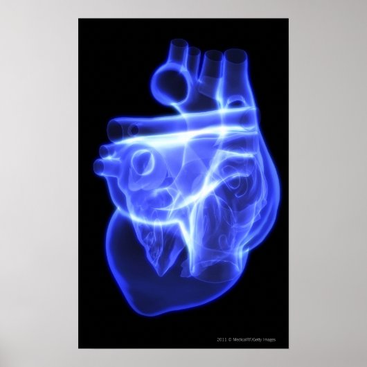 Luminescent view of the human heart poster (Vorne)