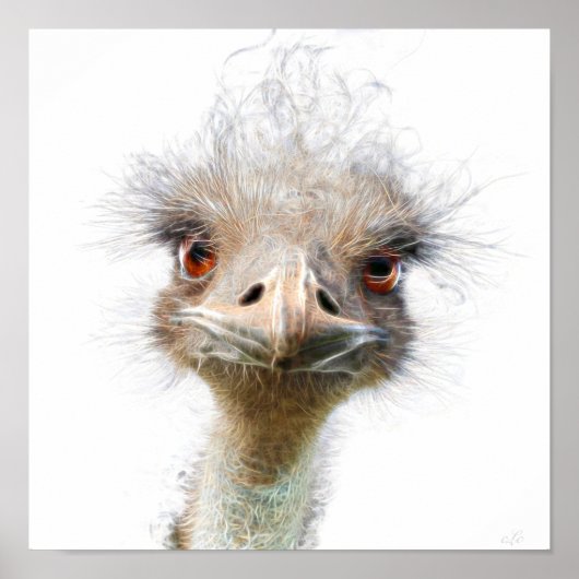 Luminöse Emu Art Huhn Art Poster (Vorne)