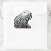 Luminous Parrot Art African Gray Bird Stickers (Tasche)