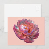 Luminous Peony Blossom Postkarte (Vorne/Hinten)