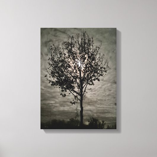 Luminous Silence: A Full Moon Night Leinwanddruck (Vorderseite)