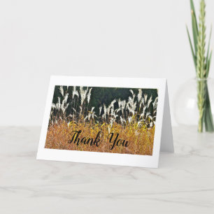LUMINOUS WHITE ORNAMENTAL GRAS /DANKE CARD DANKESKARTE