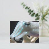 Luminumfische Postkarte (Stehend Vorderseite)