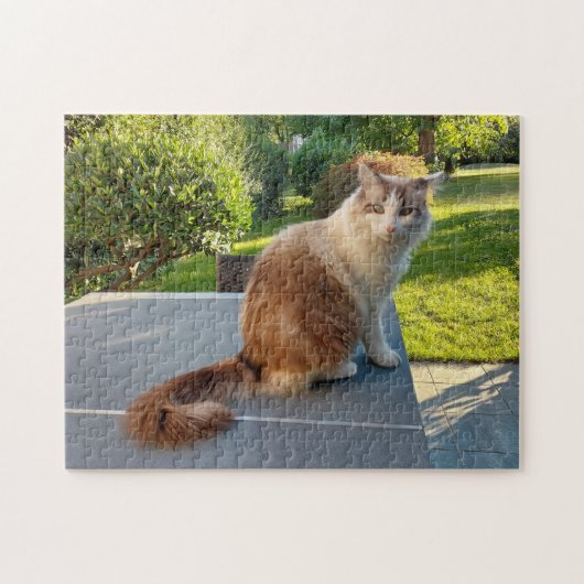 Lumpenkatze Puzzle (Horizontal)