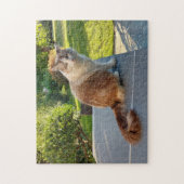 Lumpenkatze Puzzle (Vertikal)