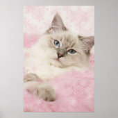 Lumpenposter Poster (Vorne)