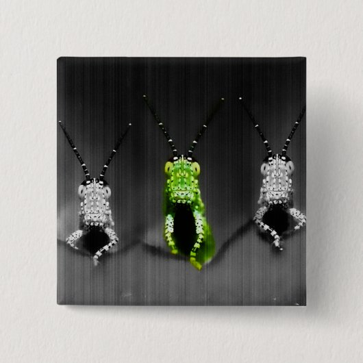 Lumpy Green Bug Button (Vorderseite)