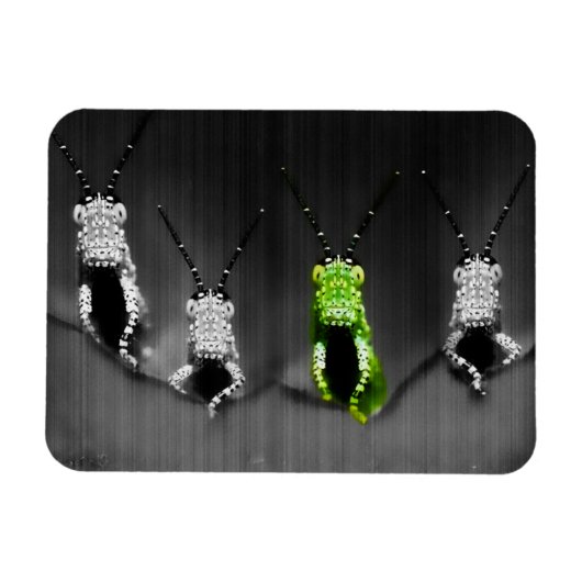 Lumpy Green Bug Magnet (Horizontal)
