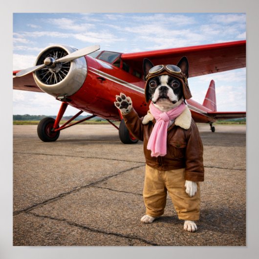 "Luna Earhart" Poster (Vorne)