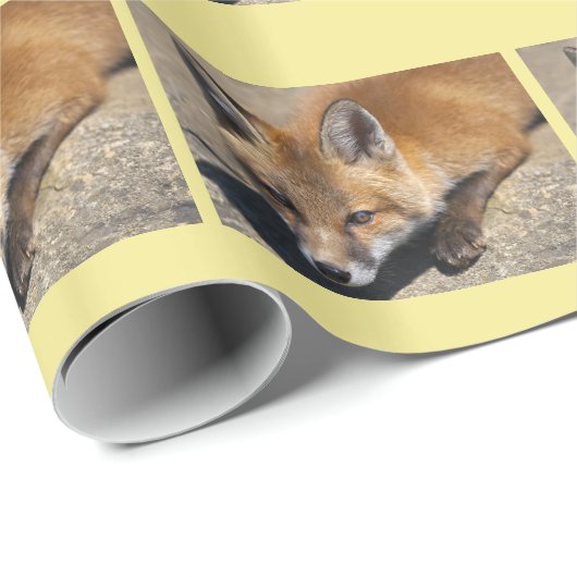 Luna Fox Geschenkpapier (Rolleneckpunkt)