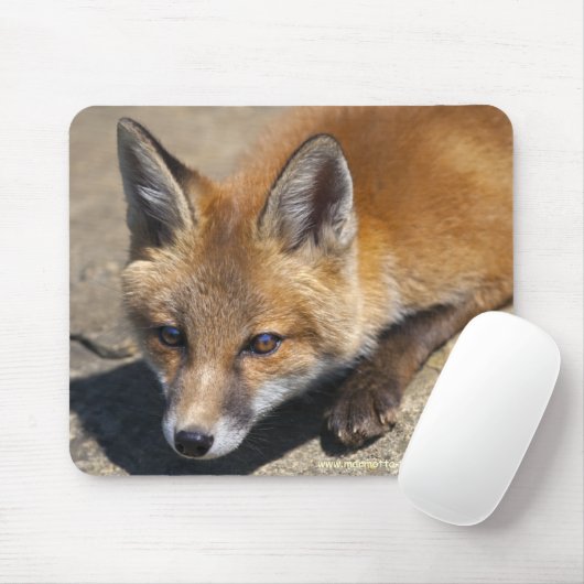 Luna Fox Mousemat Mousepad (Mit Mouse)