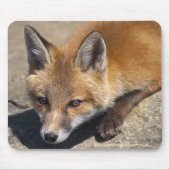 Luna Fox Mousemat Mousepad (Vorne)