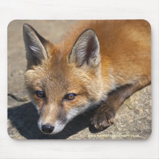 Luna Fox Mousemat Mousepad (Vorne)