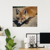 Luna Fox Print Poster (Heimbüro)