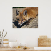 Luna Fox Print Poster (Küche)