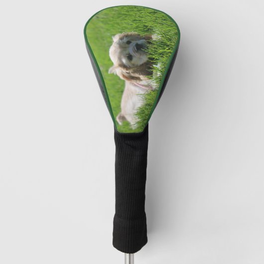 Luna Golf Headcover (Vorderseite)