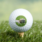 Luna Golfball (Insitu T-Shirt)