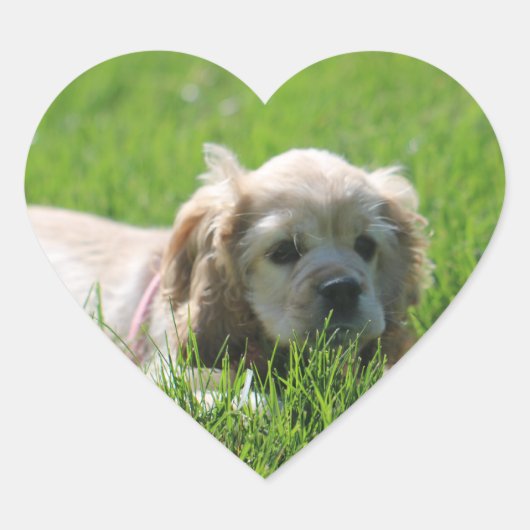 Luna Herz-Aufkleber (Vorderseite)