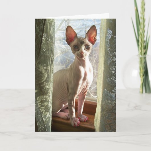 Luna Karte (Vorderseite)