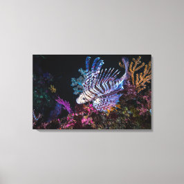 Luna lionfish, Pterois lunulata Temminck & Schleg Leinwanddruck