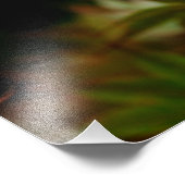 Luna Moth 19x16 große Print Fotodruck (Ecke)