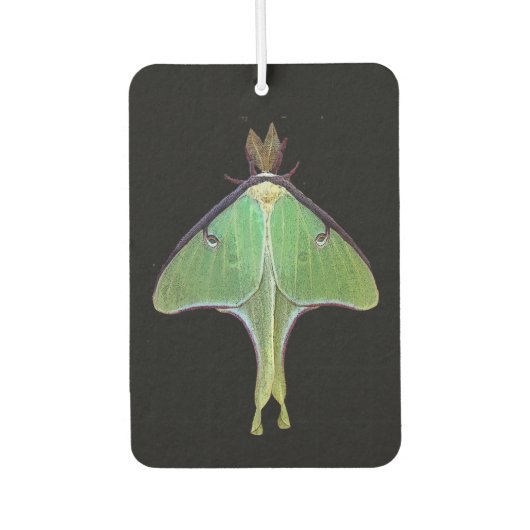 Luna Moth Air Freshener Autolufterfrischer (Vorderseite)