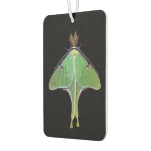 Luna Moth Air Freshener Autolufterfrischer