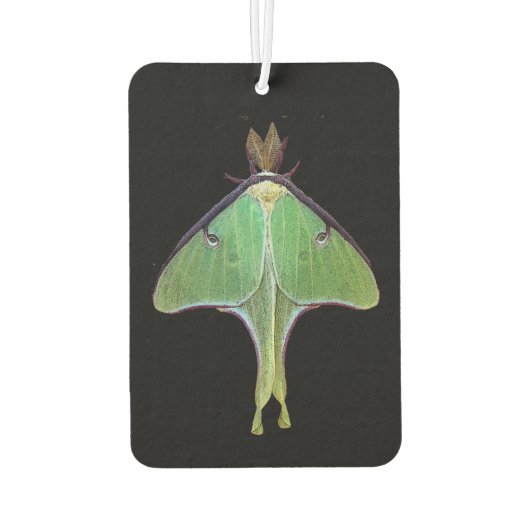 Luna Moth Air Freshener Autolufterfrischer (Rückseite)